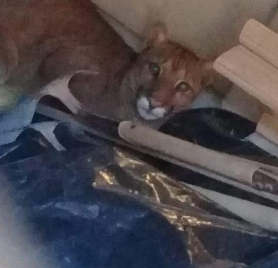 811a95af-a618-4287-ac39-66f3be2a3aba