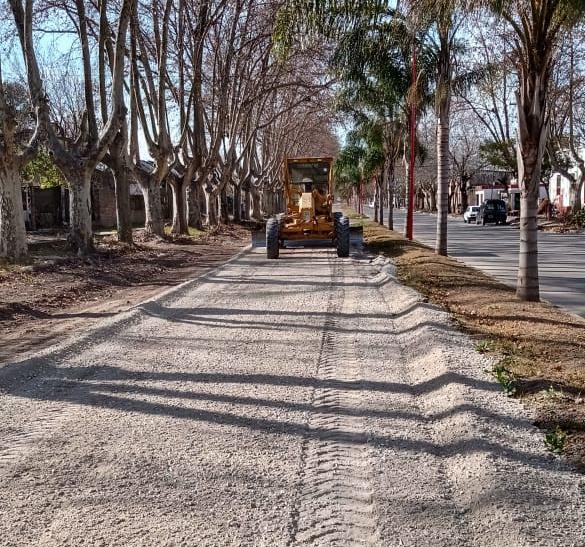 WhatsApp Image 2020-07-28 at 08.09.28