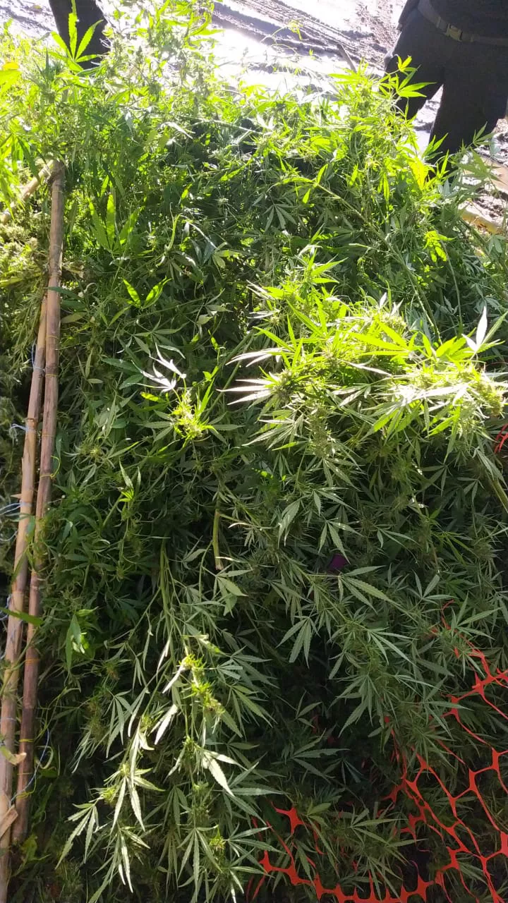 WhatsApp Image 2022-04-27 at 12.30.08 PM