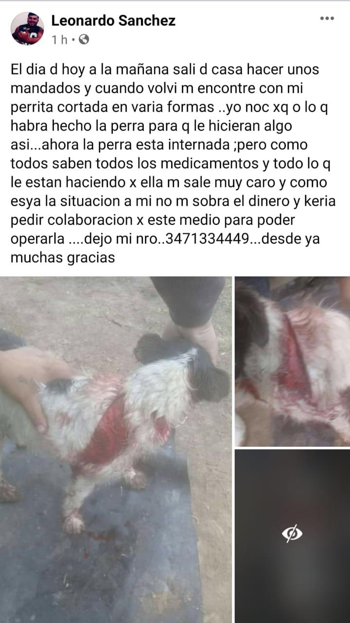 29350421-79f9-4161-b727-7d2222ab6a34