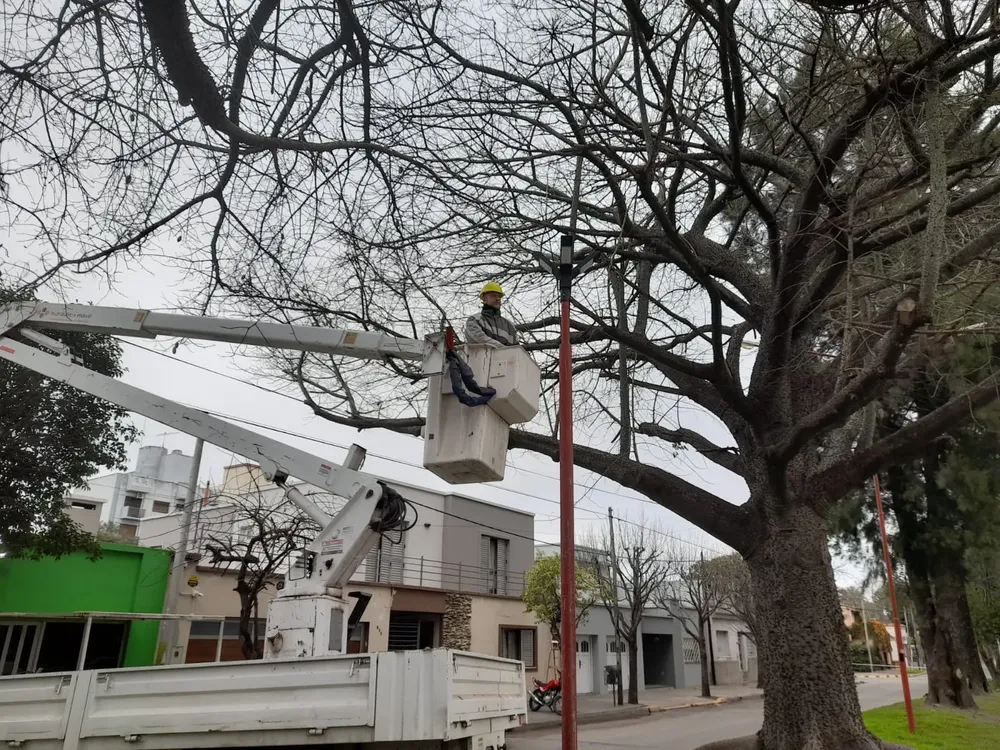 WhatsApp Image 2023-07-26 at 09.44.15