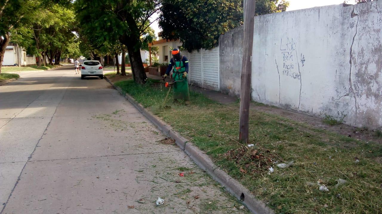 WhatsApp Image 2021-01-06 at 10.12.00
