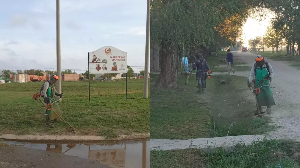 WhatsApp Image 2023-04-12 at 09.31.09