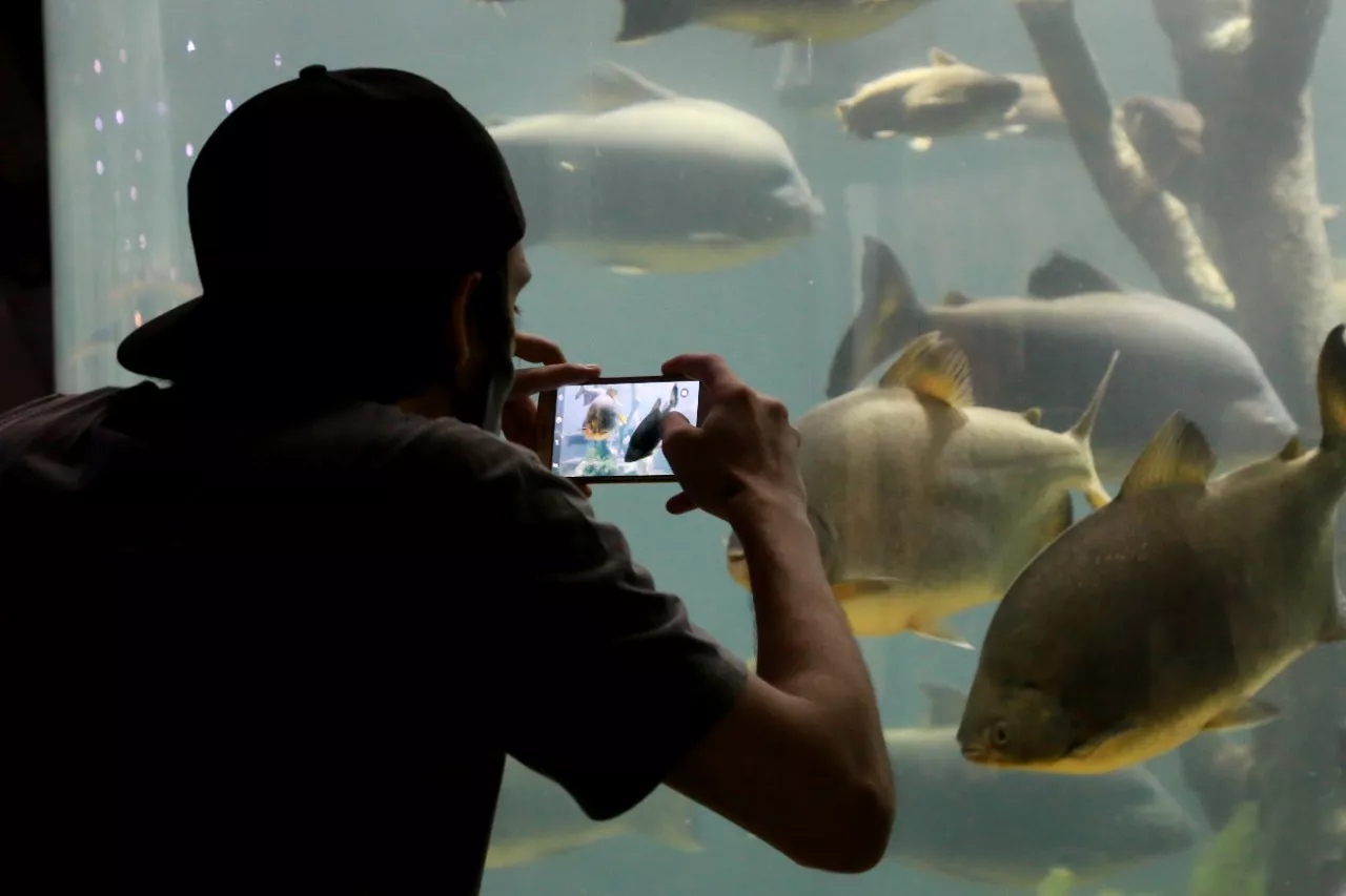 WhatsApp Image 2022-04-11 at 9.57.55 AM