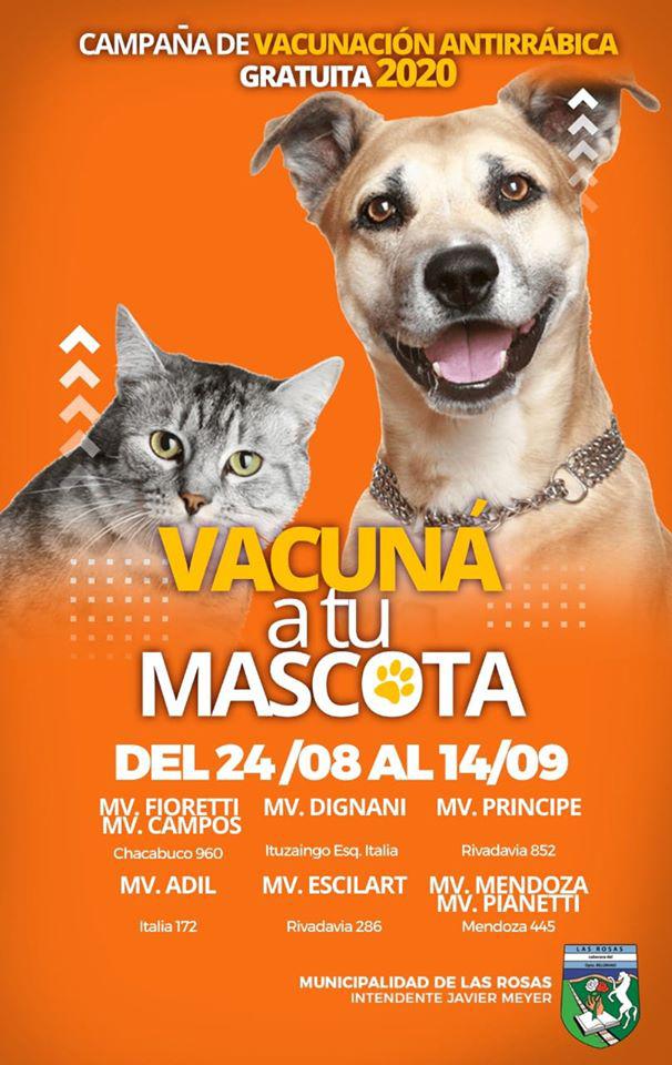 117892999_3139031429484480_4384060508638646369_o