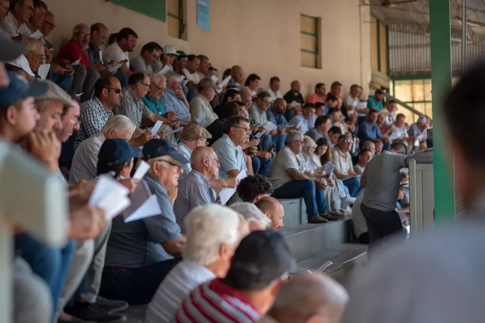 WhatsApp Image 2023-02-23 at 13.53.37