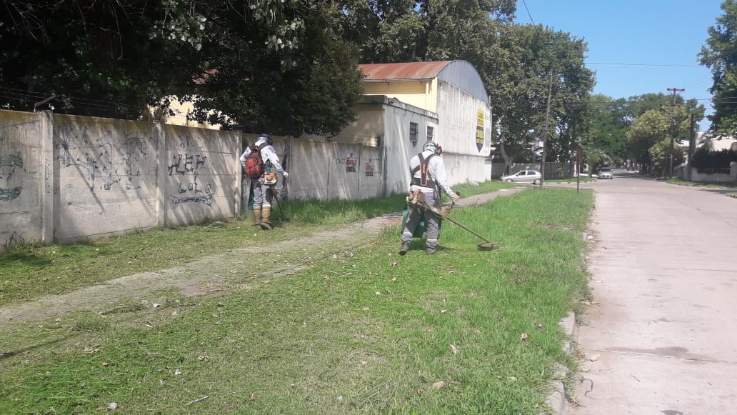 WhatsApp Image 2020-01-08 at 10.16.02