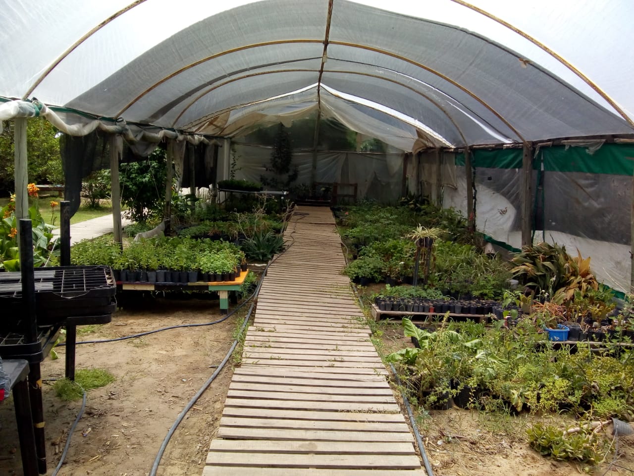 b72d61ac-4a31-4d96-9c8f-93d470c10504