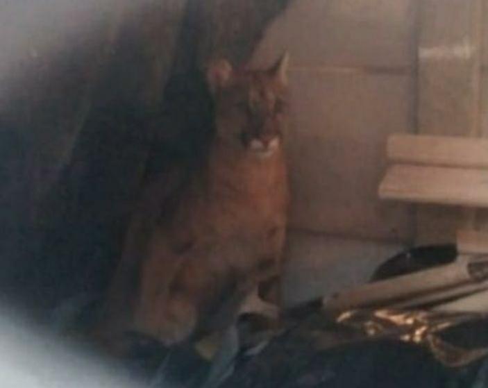 dd5c9917-6efe-4935-b791-d8d261c9c1ad