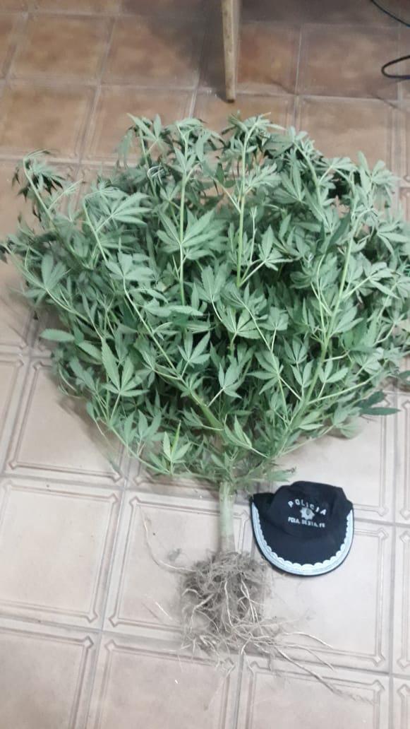 29155942-926b-434f-a507-102a95326935