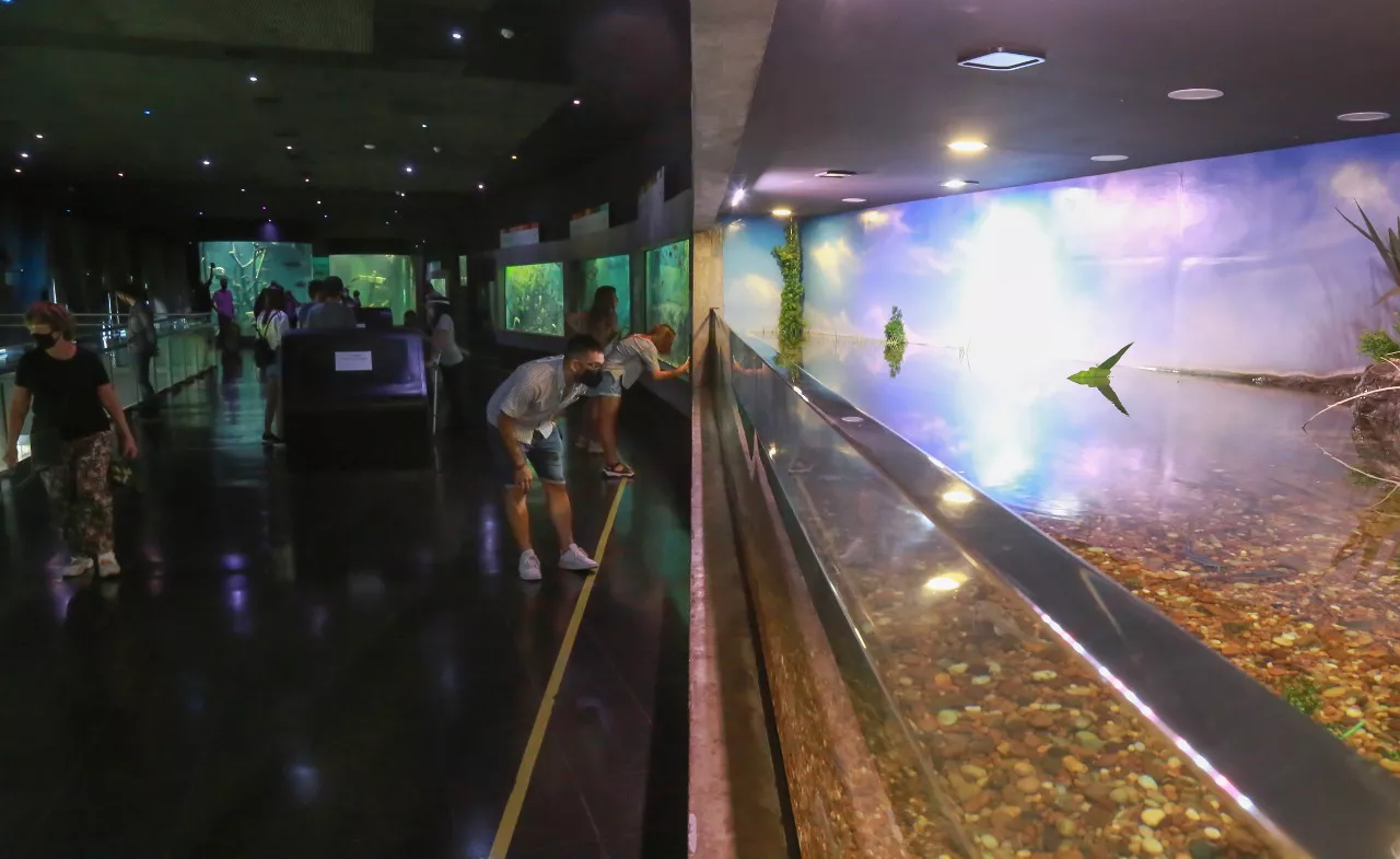 WhatsApp Image 2022-04-11 at 9.57.56 AM