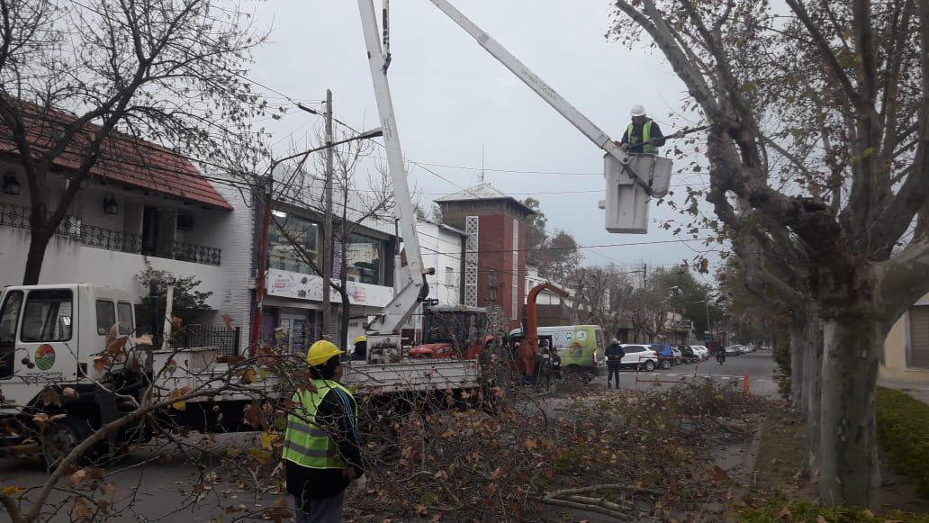 WhatsApp Image 2020-07-07 at 09.25.04