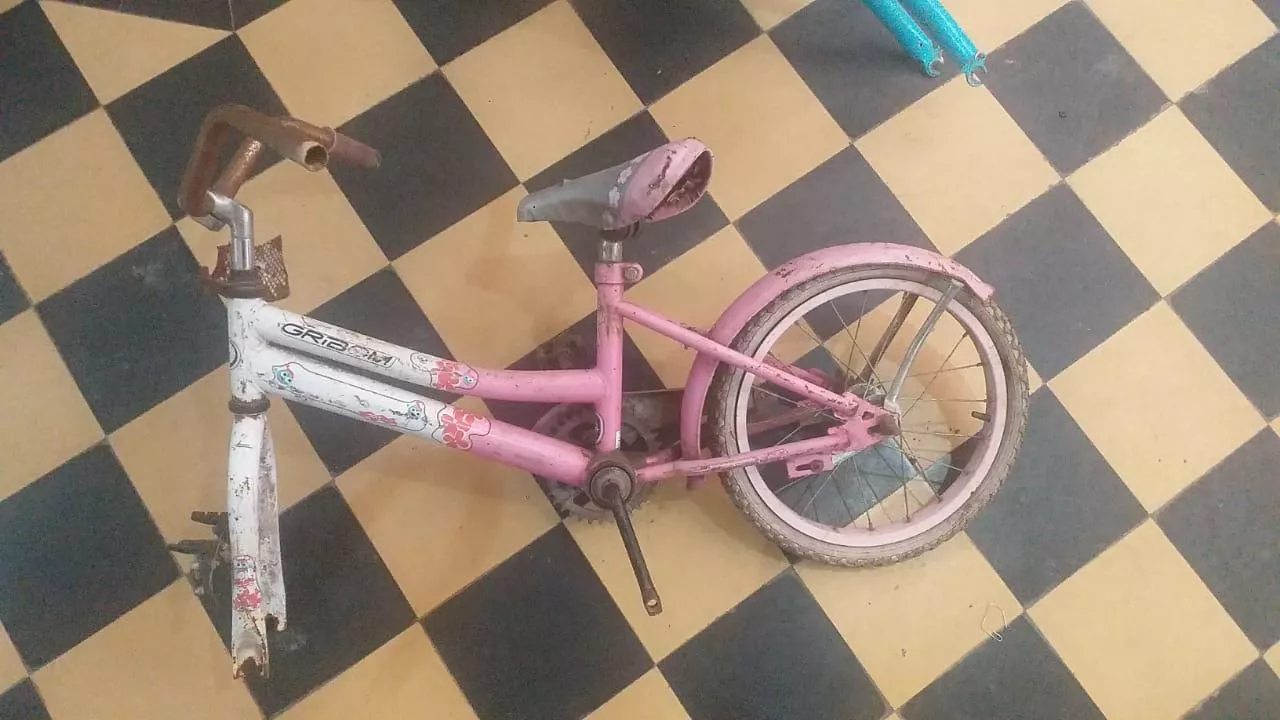 WhatsApp Image 2022-04-27 at 12.28.19 PM