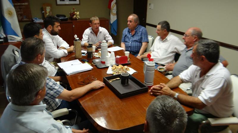 campo 1