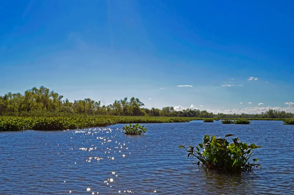 WhatsApp Image 2023-08-12 at 19.52.59