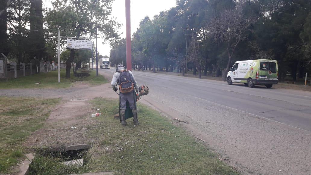 WhatsApp Image 2020-10-19 at 09.42.25