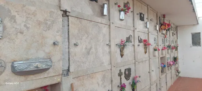 187f0437-0b09-4608-a882-e7512de45ccd (1)