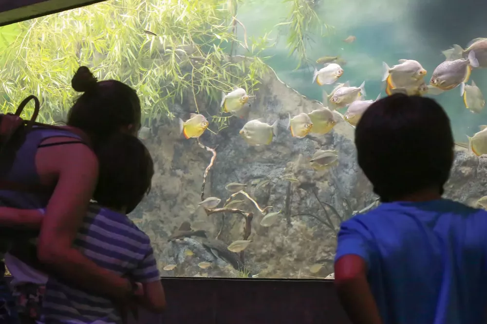 WhatsApp Image 2022-04-19 at 8.08.08 AM