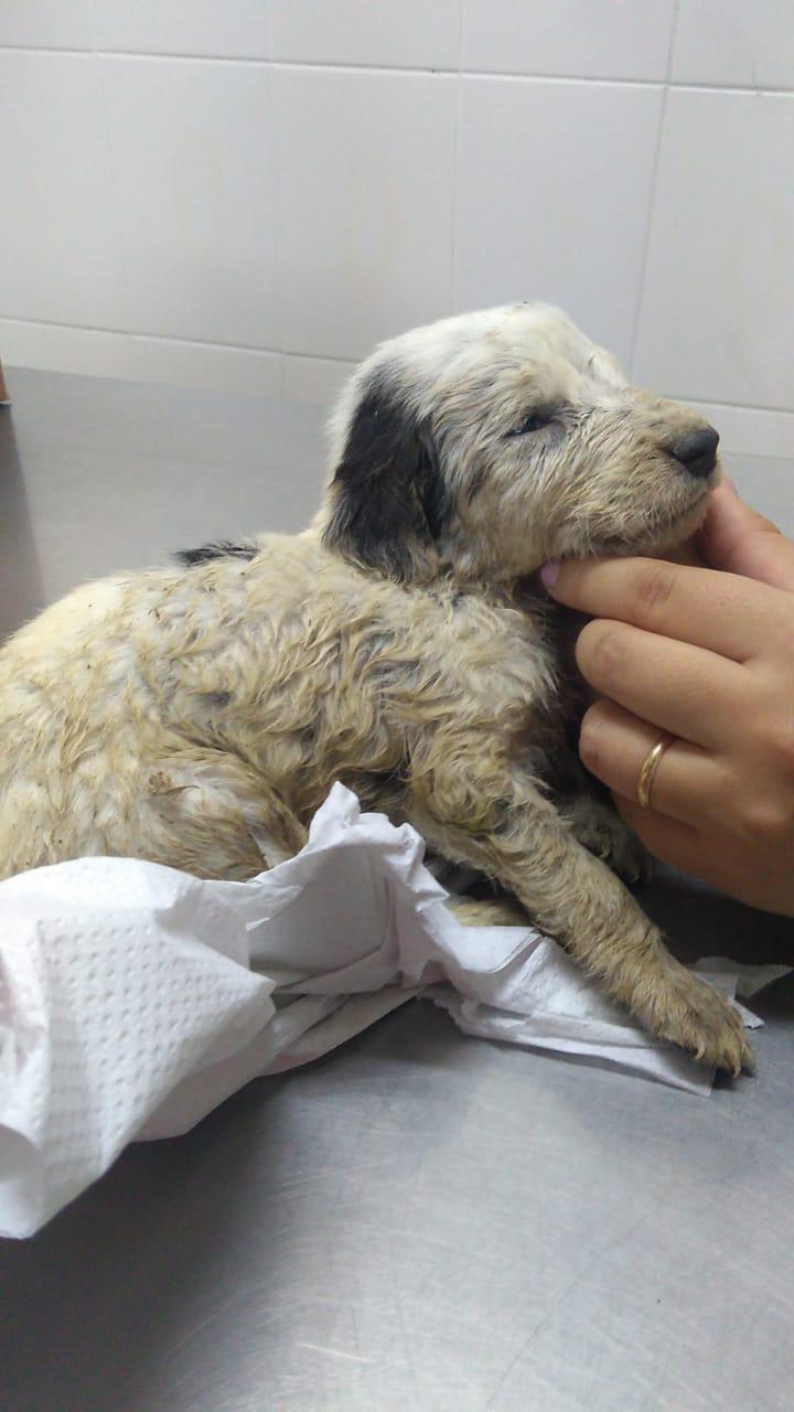 470109db-b003-4adb-ac3c-fbb1f2f73fef