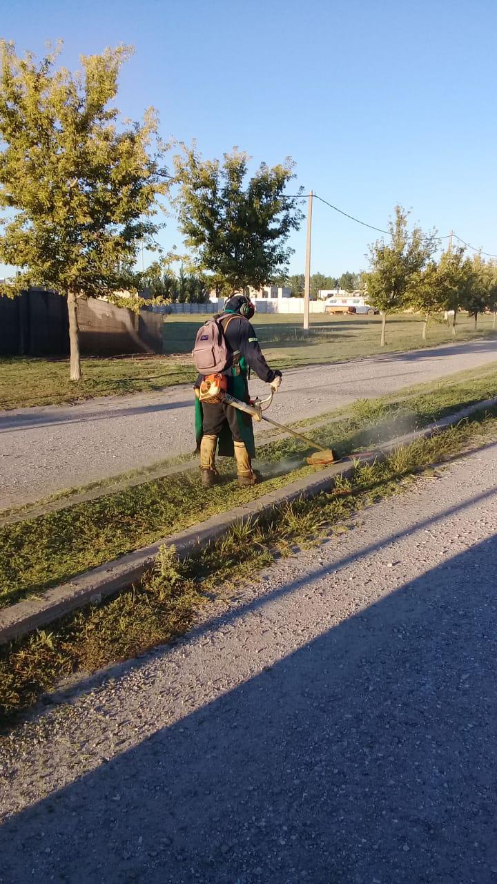 WhatsApp Image 2021-01-18 at 07.31.45