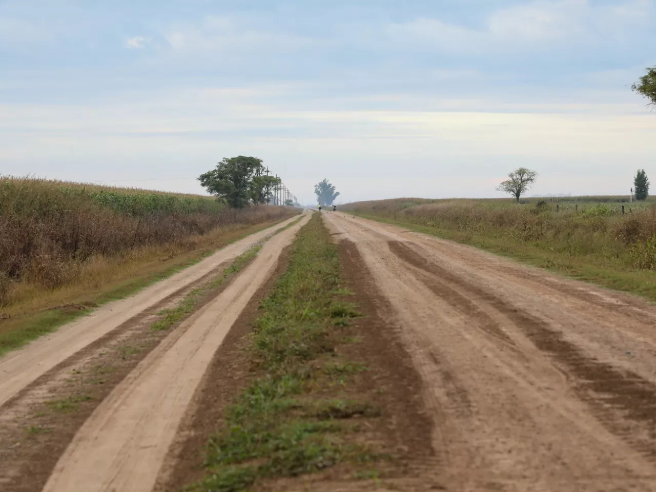 WhatsApp Image 2022-05-30 at 8.15.31 PM (1)