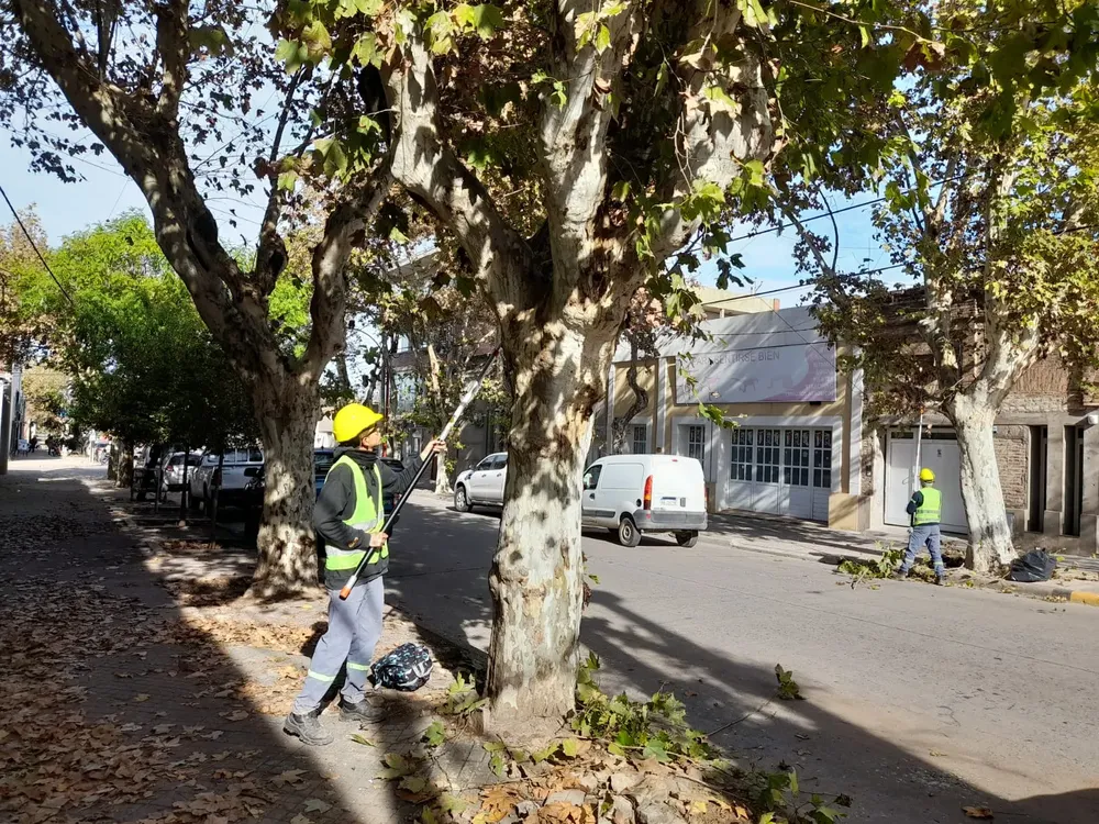 WhatsApp Image 2023-05-30 at 11.27.38