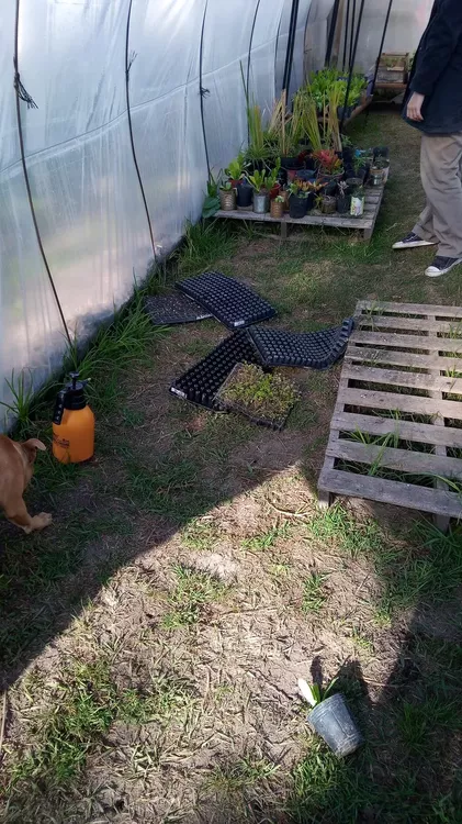 WhatsApp Image 2022-06-14 at 9.51.17 AM (1)