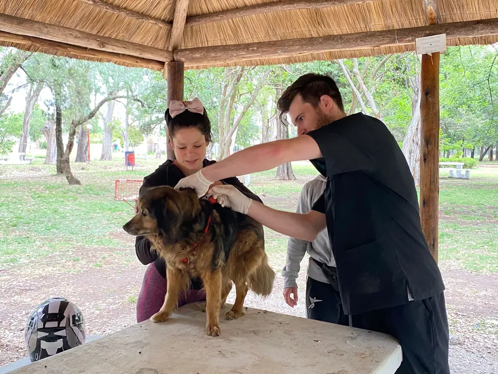 WhatsApp Image 2022-11-12 at 17.02.11