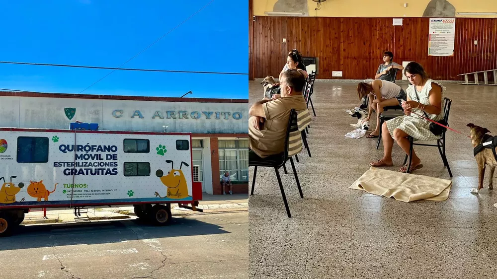 WhatsApp Image 2023-03-10 at 07.58.56