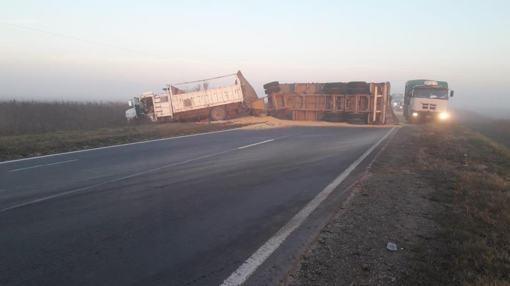 WhatsApp Image 2021-08-06 at 11.33.07 AM