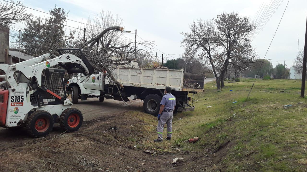 WhatsApp Image 2020-06-12 at 12.06.02