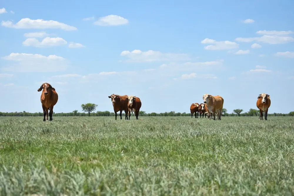 WhatsApp Image 2023-08-12 at 19.37.16