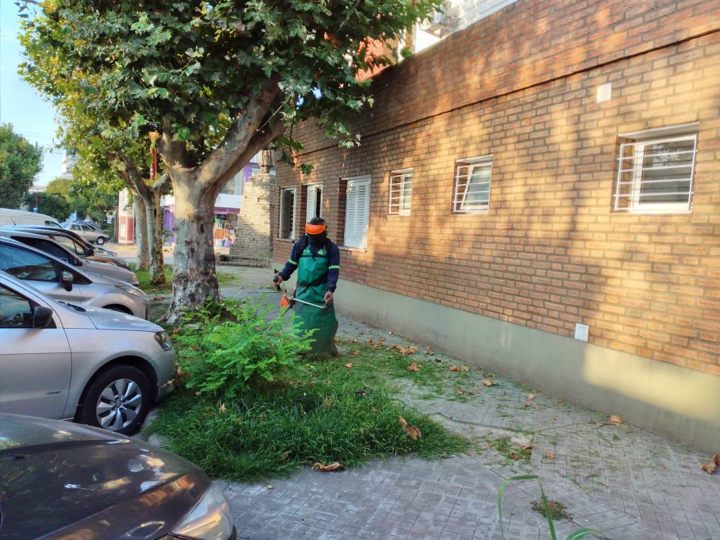 WhatsApp Image 2021-02-10 at 07.40.22