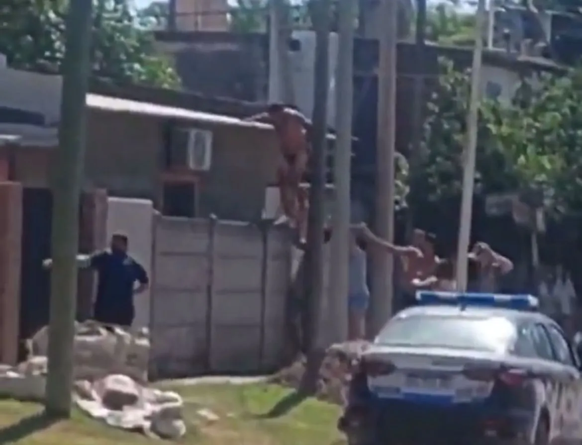 WhatsApp Image 2026-01-08 at 11.48.38