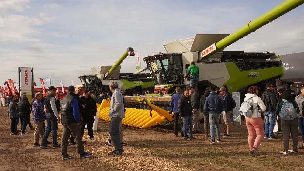 WhatsApp Image 2025-01-31 at 09.13.09