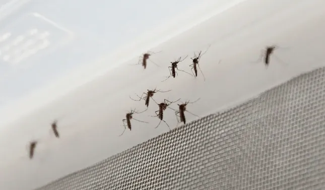 policia patrullero saturacion