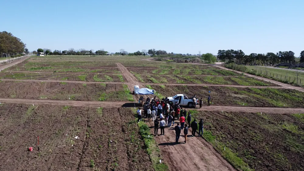 Imagen de WhatsApp 2025-09-26 a las 08.32.37_31e44a7c