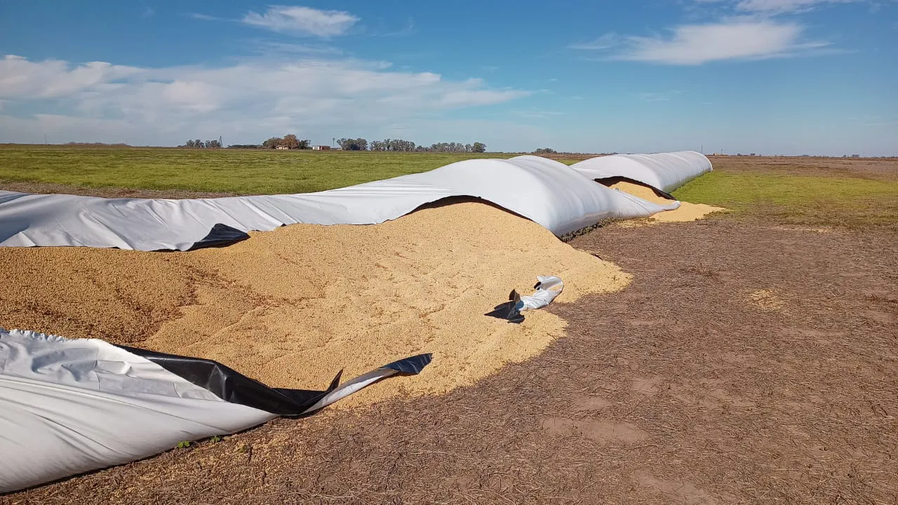 WhatsApp Image 2023-06-16 at 10.31.41 AM