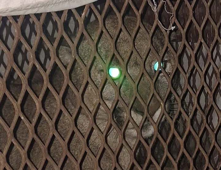 Imagen de WhatsApp 2025-07-29 a las 09.38.50_1c601d7c (1)