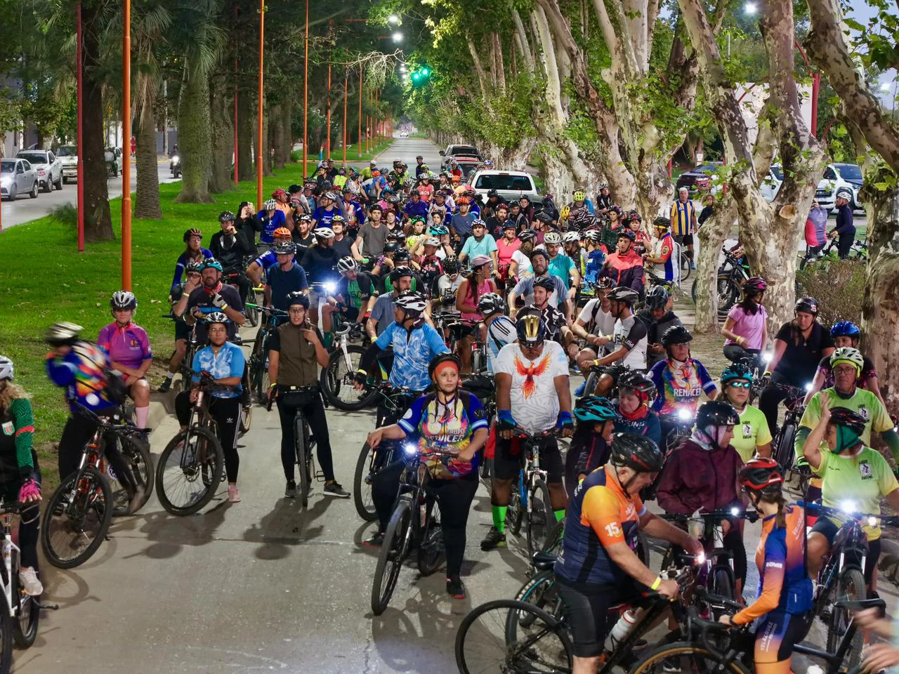 WhatsApp Image 2026-02-25 at 20.22.01