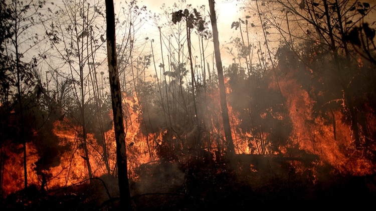 incendio-amazonia-1