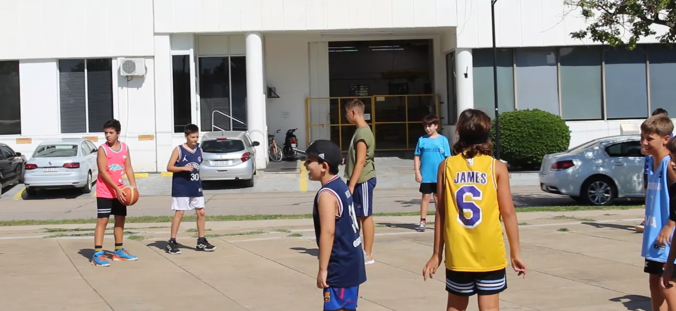 basquet
