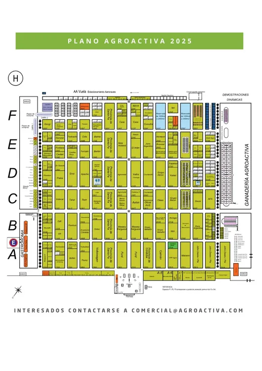 WhatsApp Image 2024-11-19 at 10.20.28