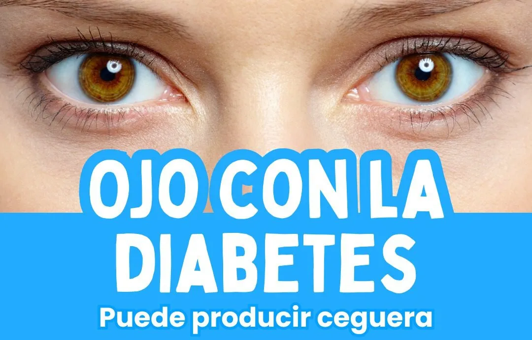 WhatsApp-Image-2025-11-27-at-09.04.57