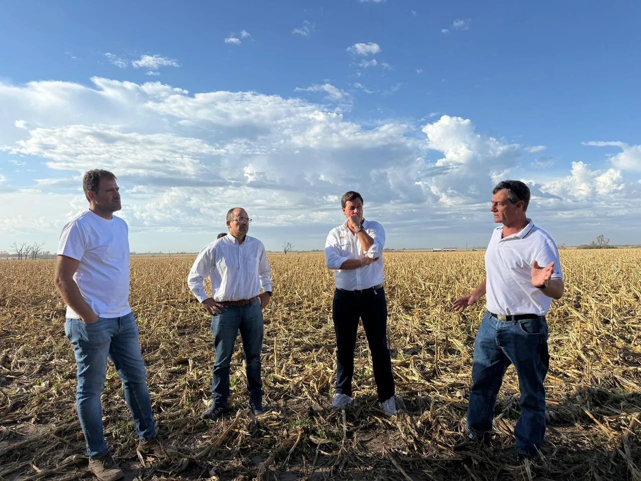 WhatsApp Image 2026-02-26 at 20.29.48