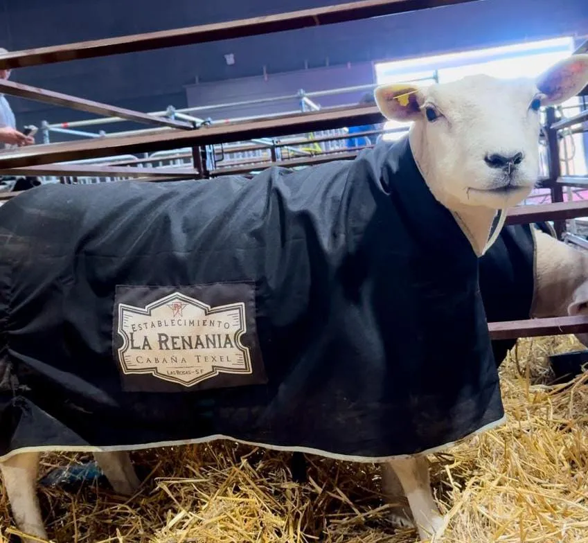 Imagen de WhatsApp 2024-07-24 a las 10.24.48_9c3e3c17