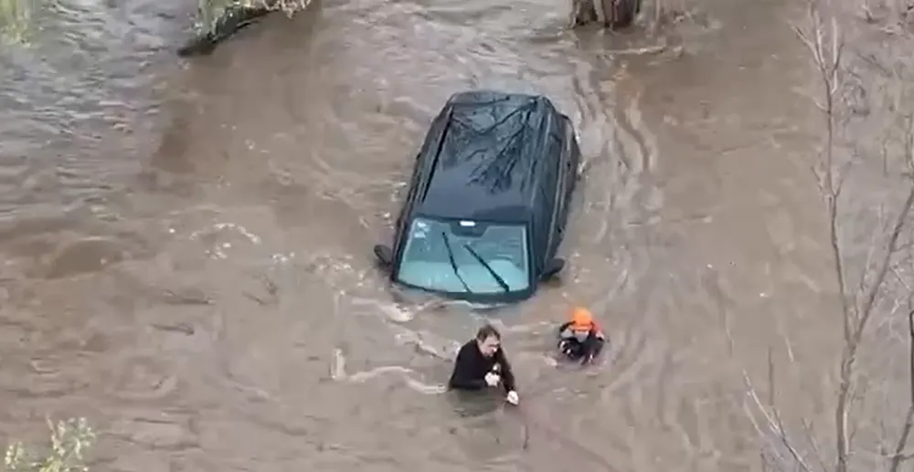 Sin título