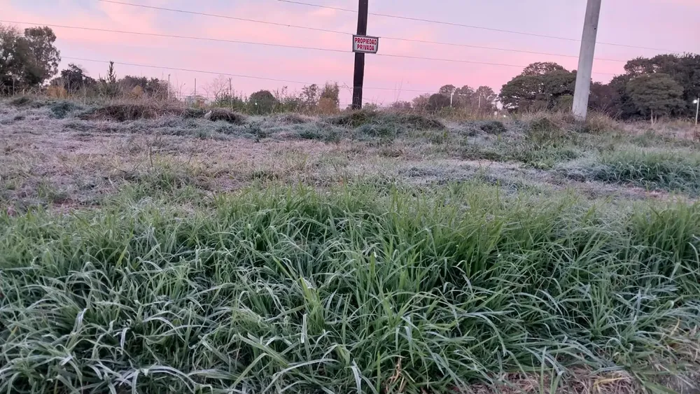 Imagen de WhatsApp 2024-05-14 a las 11.00.06_d719ed79