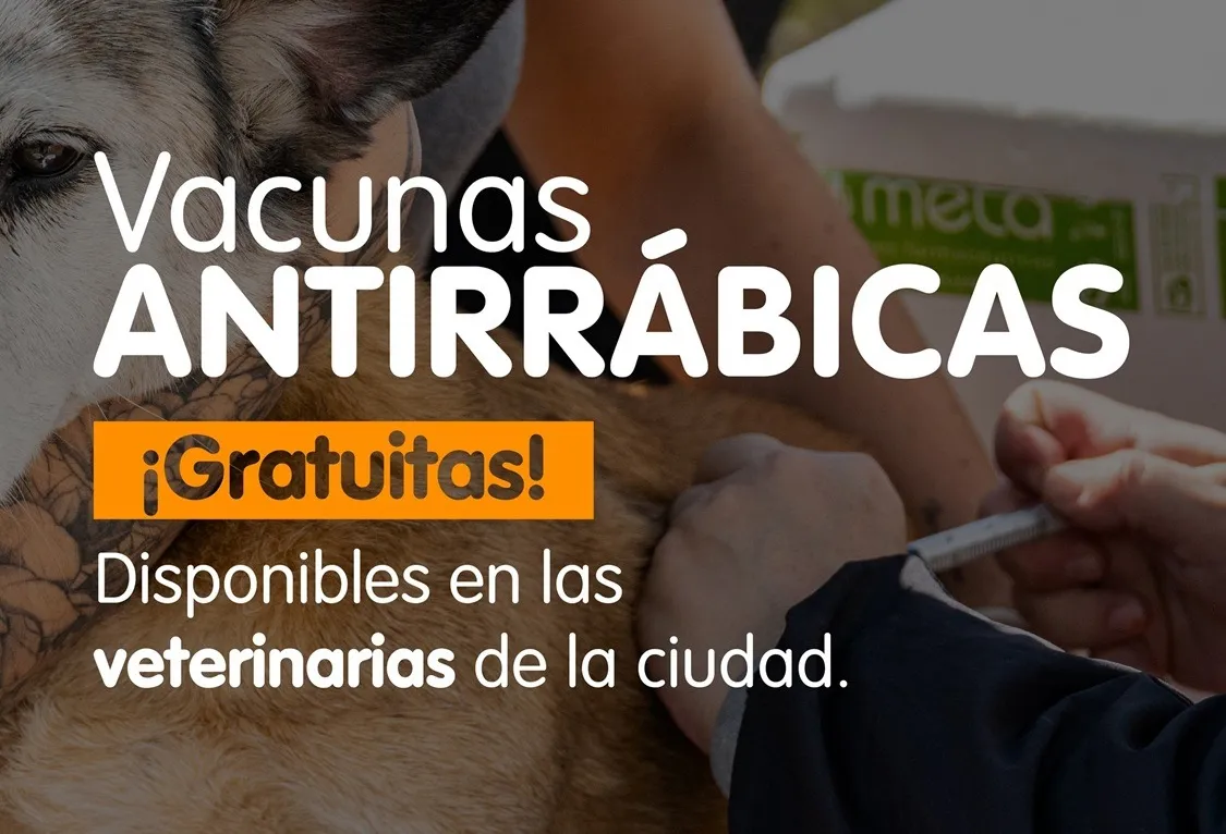 Vacunas antirrábicas (1)