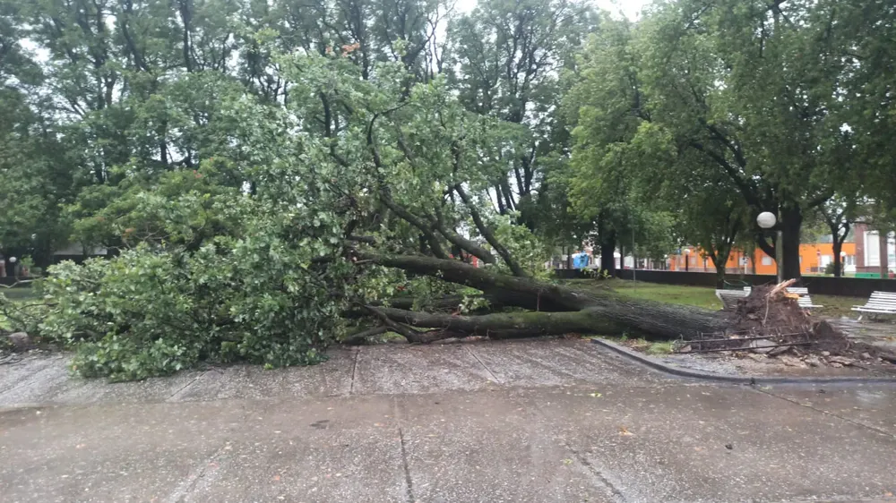 Imagen de WhatsApp 2024-01-16 a las 07.46.37_88c85979